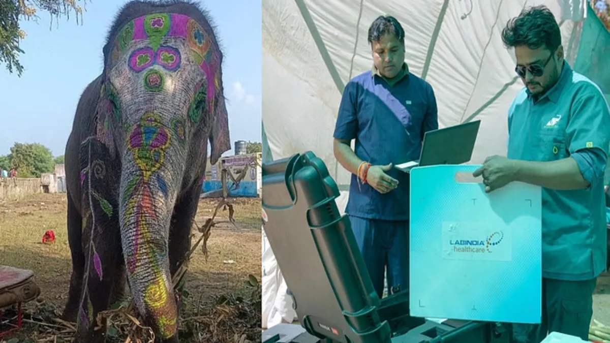 UP Ramu the Elephant