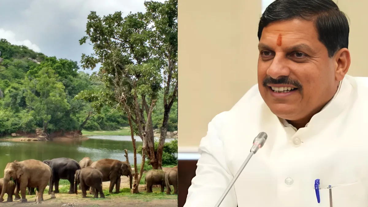 Human-Wildlife Conflict