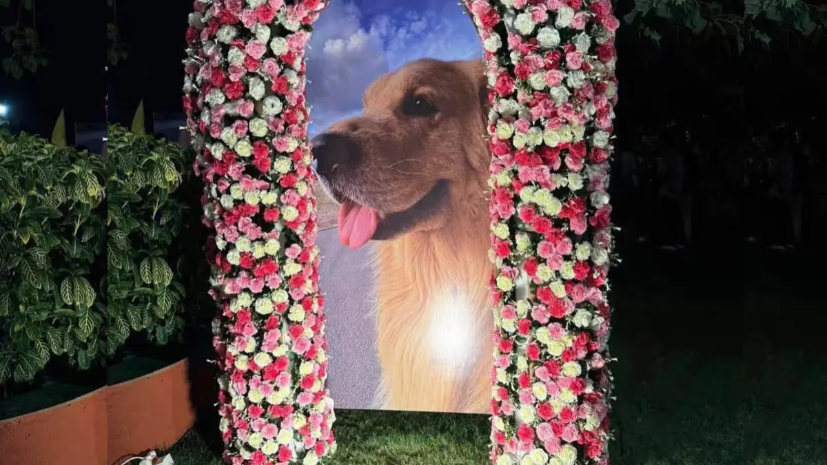 अनंत अंबानी के पालतू कुत्ते हैप्पी का निधन